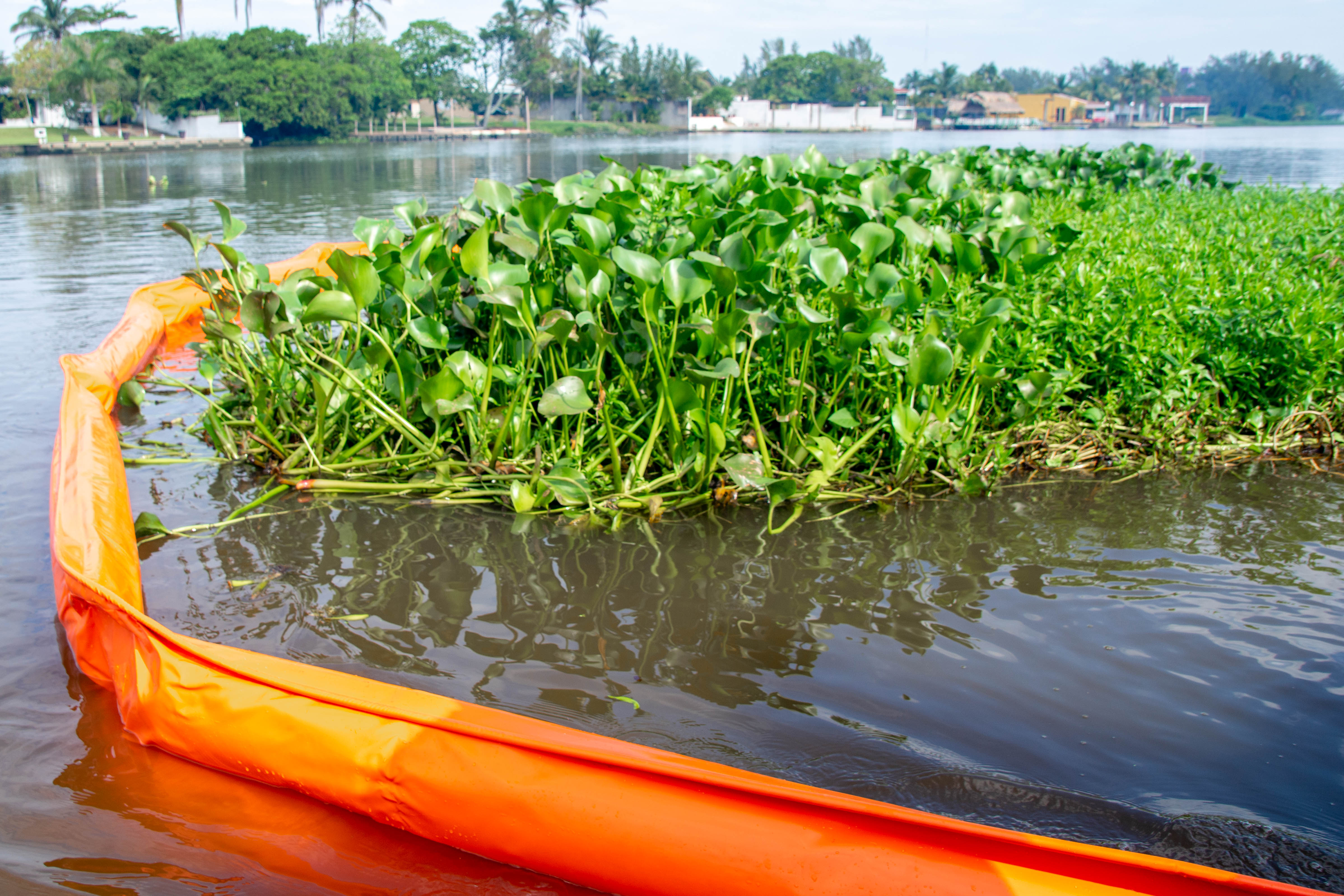 Barrera de contención en cuerpo de agua con vegetación